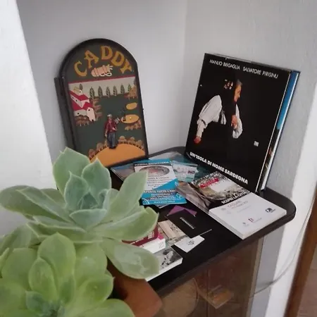 Sa Speciosa Casa vacanze Castiadas